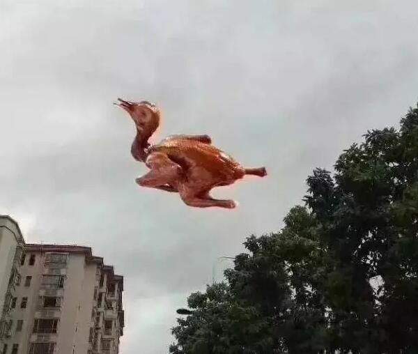 &ldquo;天鴿&rdquo;登陸了又怎樣，智彤印刷正常發(fā)放福利！