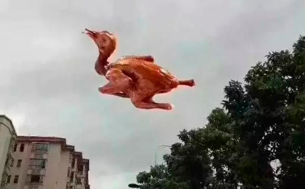 “天鴿”登陸了又怎樣,智彤印刷正常發放福利! “天鴿”登陸了又怎樣,智彤印刷正常發放福利!